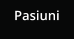 Pasiuni